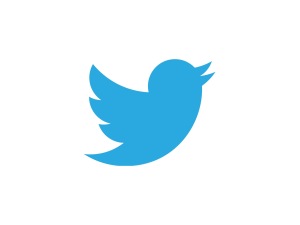 Twitter-logo-bird_logo_2012